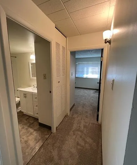 Maple Ridge Apartments — Photo 6