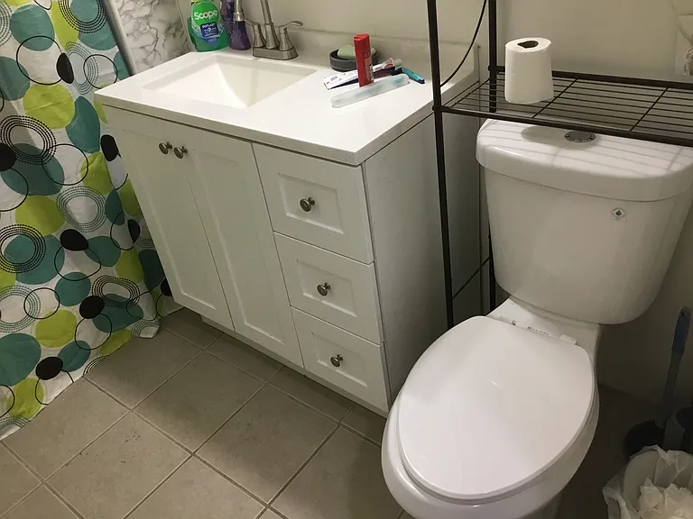 toilet bowl and sink