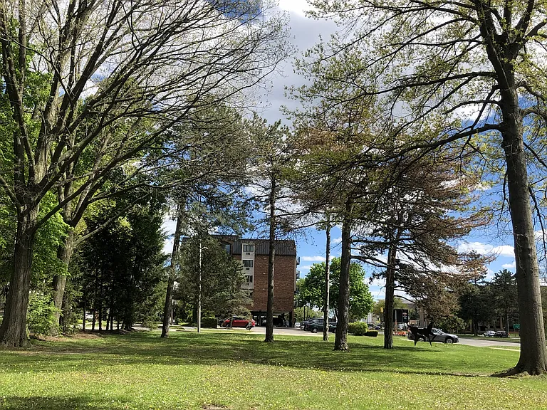 35300 Woodward Ave #508 — Photo 9