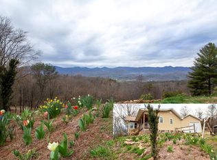 461 Chestnut Flats Rd, Andrews, NC 28901