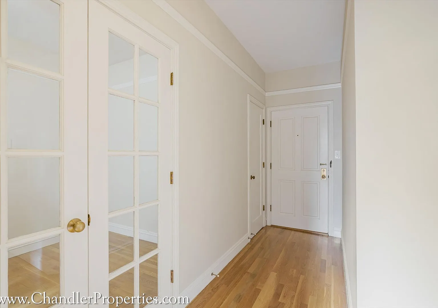 1545 Green Street — Photo 4