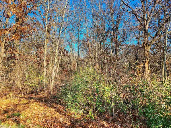 3-446 Deerfield Ct, Lanark, IL 61046