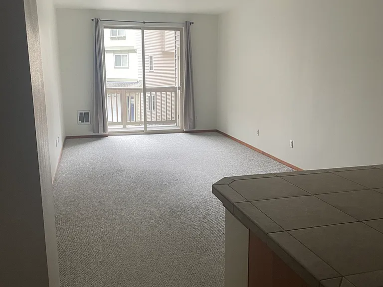 206 Sage Brook Ln — Photo 3