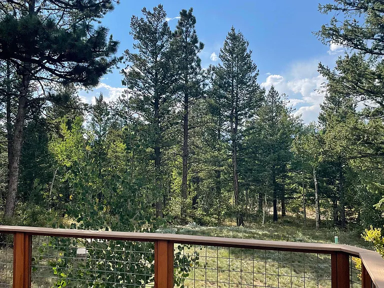 167 Conifer Dr — Photo 6