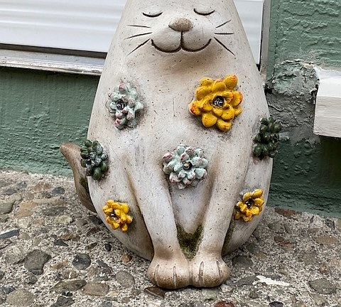 kitty at front door