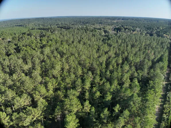 Holly Springs Rd, Foxworth, MS 39483