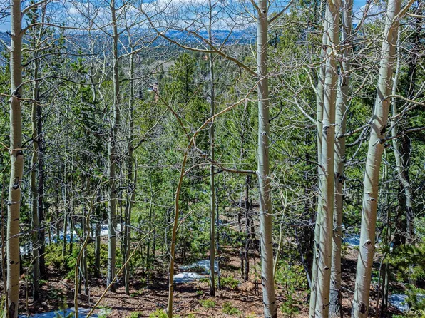 336 Witherite Drive LOT 27, Divide, CO 80814