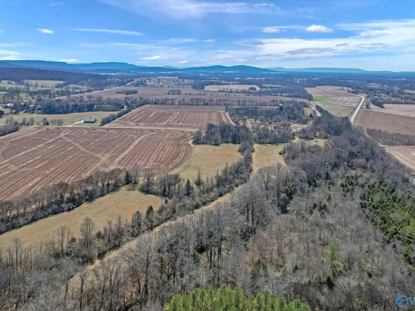 4A Moe Rd, New Market, AL 35761