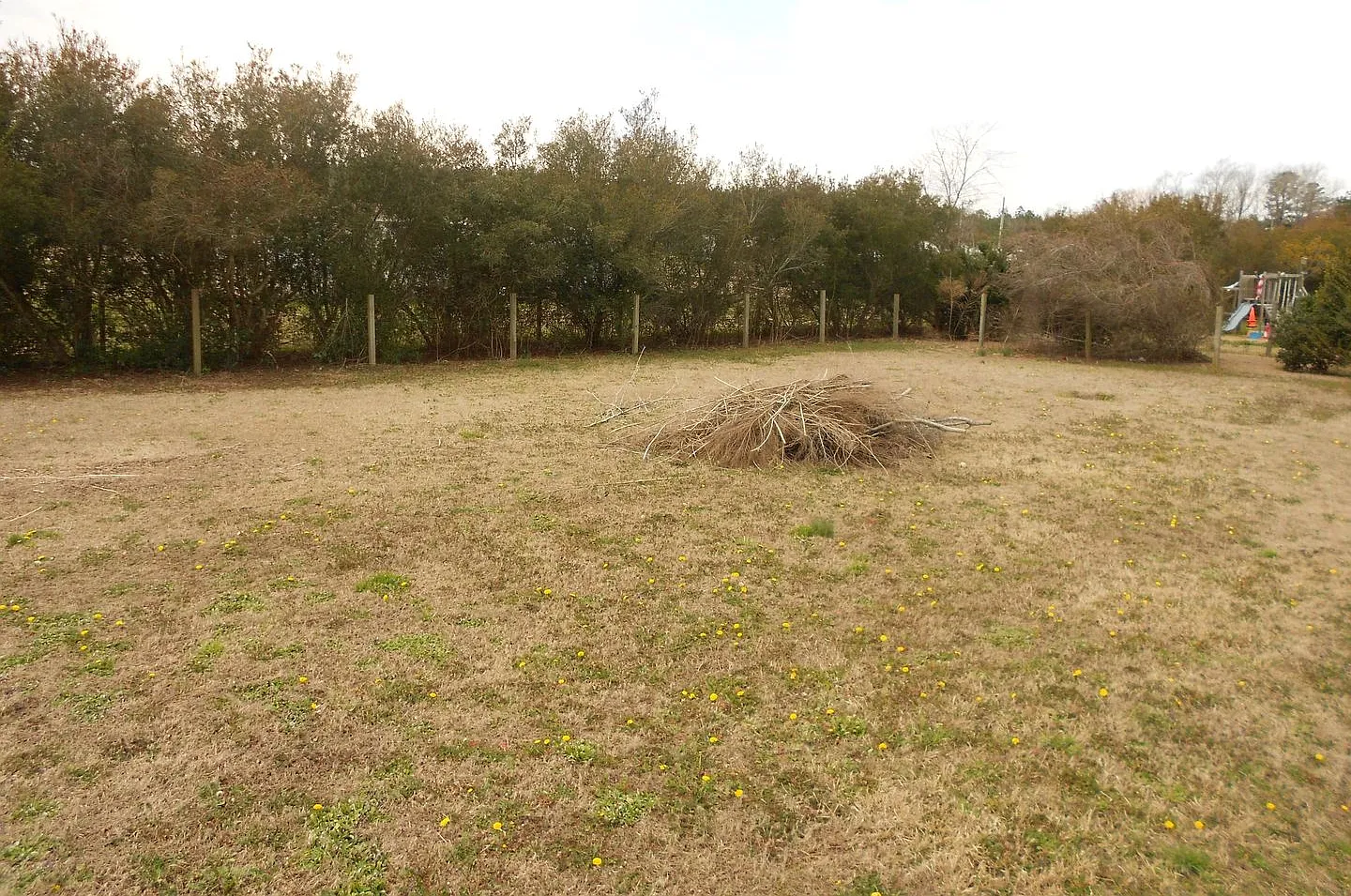 Running Root Estates — Photo 3