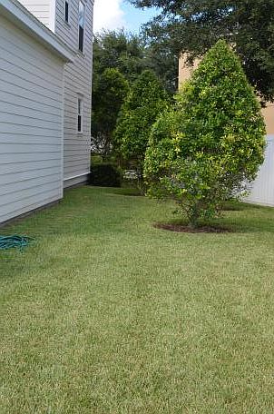 Second Backyard