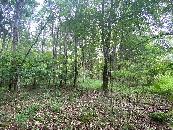 4th image of 0 Horsecreek Rd