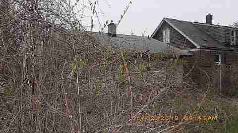 11433 Freeland