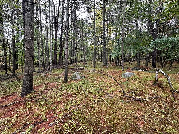 3rd image of Lot 61.3 Sand Pond Road