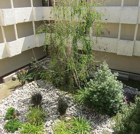 3rd image of 65 N Allen Ave APT 211