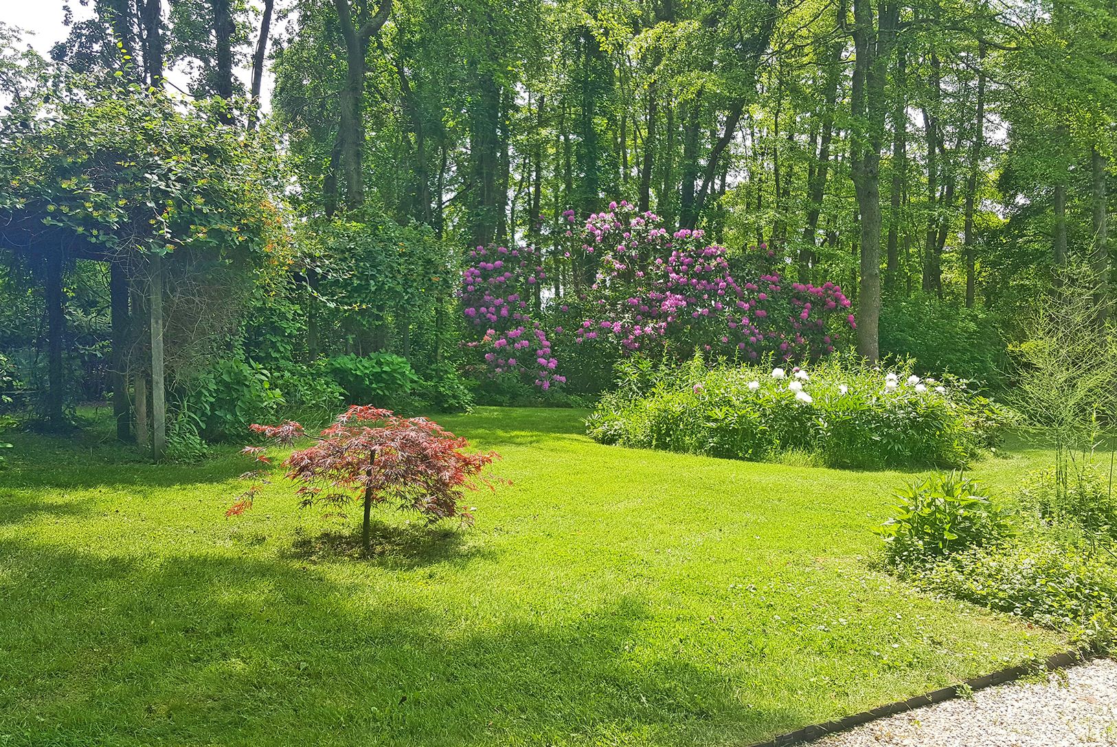  Lush Landscaping