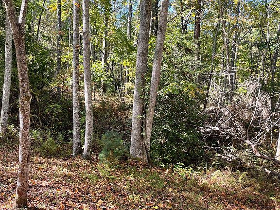 3rd image of Township Road 2 Mine Rd #20