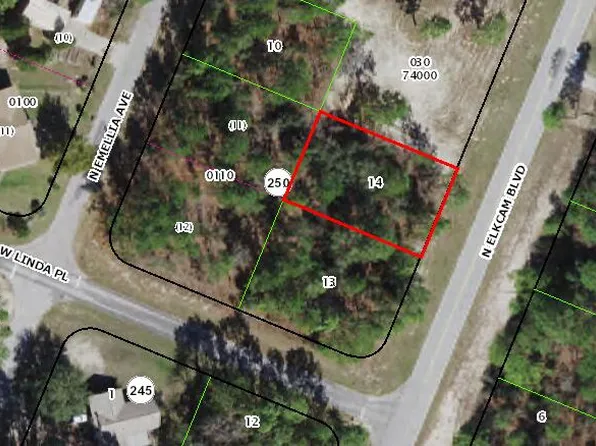 9730 N Elkcam Boulevard, Citrus Springs, FL 34433