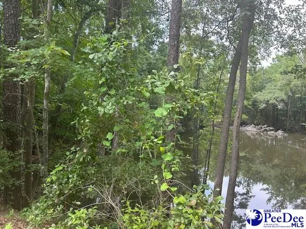 0 Manantiel Rd, Lamar, SC 29069