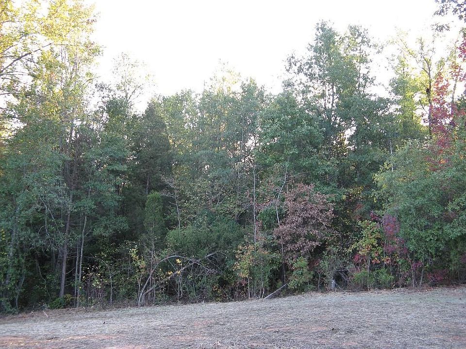 View From Backyard