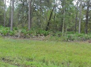 E Colonial Dr, Christmas, FL 32709