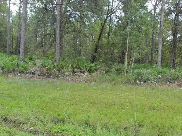 E Colonial Dr, Christmas, FL 32709