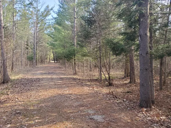 Eagles Nest Way, Gladwin, MI 48624