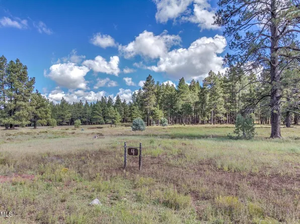 307 E Foxboro Rd, Munds Park, AZ 86017