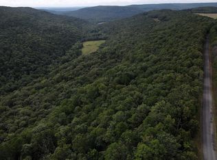 5463 Lo Gap Rd, Clinton, AR 72031