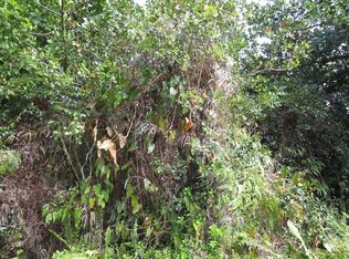 30th Ave LOT 437, Keaau, HI 96749
