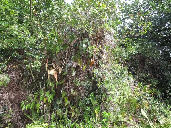 30th Ave Lot 437, Keaau, HI 96749