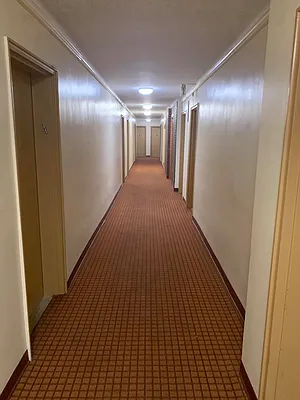 Rented by Elite NY Holdings | media 4