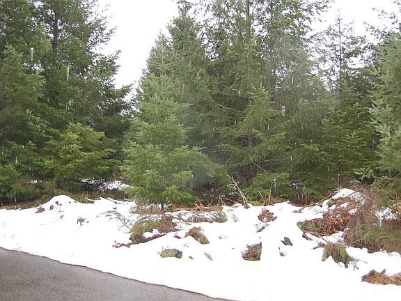 4th image of 107 Jack Fir Court W