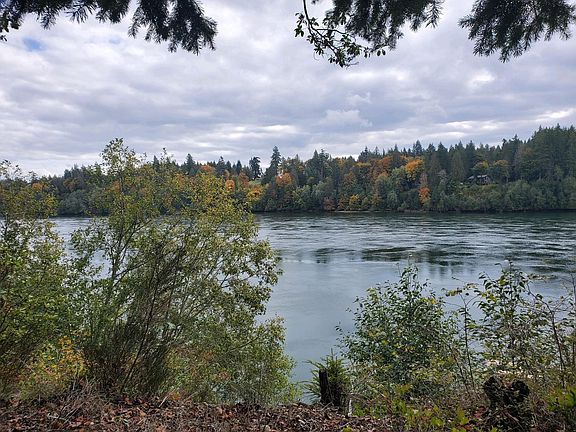 Waterfront on Hammersley Inlet