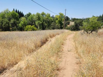 Taylor, Newcastle, CA, 95658