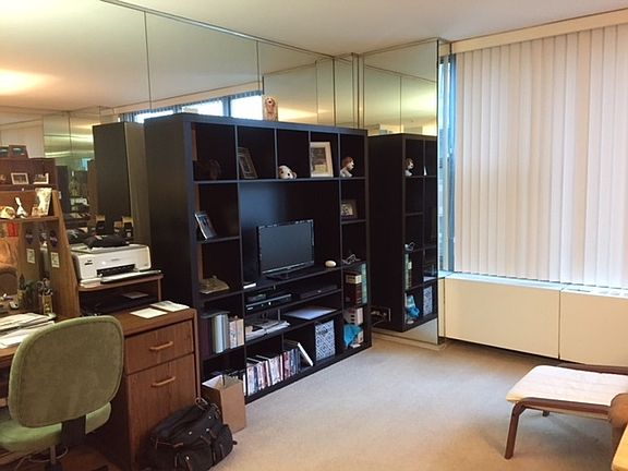 3rd image of 777 N Michigan Ave APT 3604