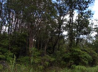 11 3118th #50, Volcano, HI 96785