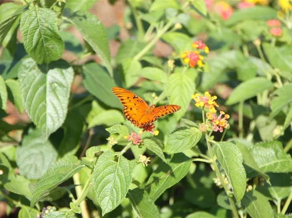 7141 Birch Creek Trl, Pike Road, AL 36064