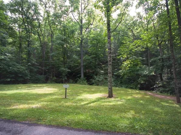 366 Grant's Gap, White Sulphur Springs, WV 24986