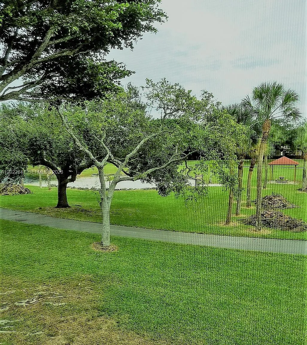 Heron At The Hammocks Con — Photo 3