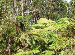 9th St LOT 831, Volcano, HI 96785