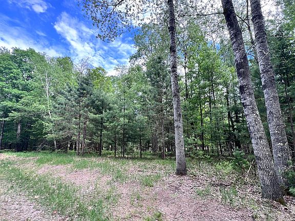 2nd image of LOT 38 White Pine Dr