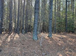 0 Hassidiah Church Rd, Jarratt, VA 23867