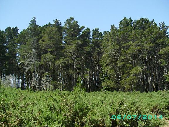 2nd image of 15301 N Highway 1