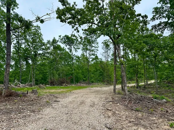 000 County Road 320, Ellington, MO 63638