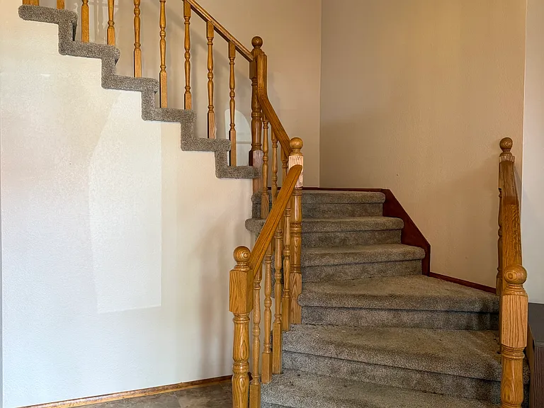Freshly cleaned carpeted stairs