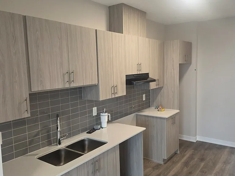 229 Lamarche Ave — Photo 3