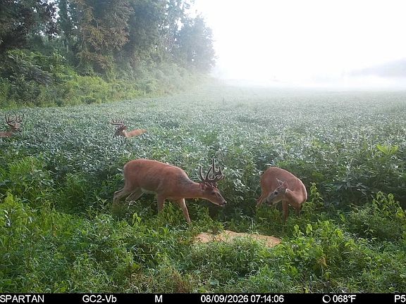3rd image of Scott Marcum Rd Lot Wp001