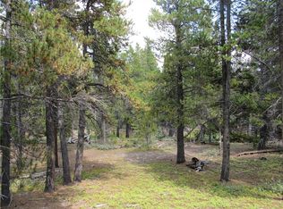 Tbd Venture Road, Fairplay, CO 80440