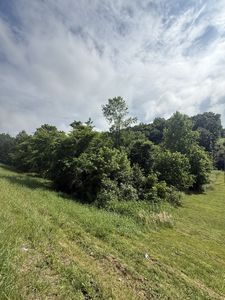 0 Highway 31 E, Westmoreland, TN, 37186
