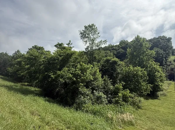 0 Highway 31 E, Westmoreland, TN 37186